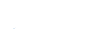 Arctic Wolf logo