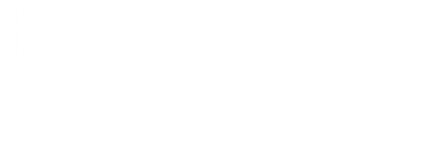 Princeville Global logo